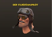 Flugschaupilot