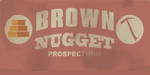 Brown Nugget Prospecting
