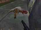 Мёртвый буллсквид в Half-Life: Day One. Использована анимация падения брюхом вверх, вырезанная из релизной версии игры.