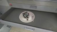 Robot Repair drawer 1 - moldy cake