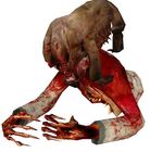 Zombie torso