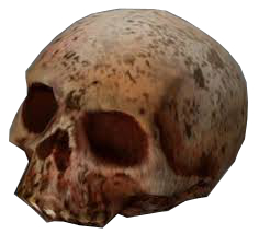 HL2 skull.jpg