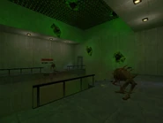 Пещерные трутни в испытательной комнате.