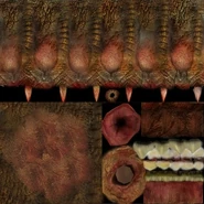 Le texture beta della Lepade in Half-Life 2