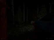 Ранний лес.