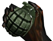 Grenadeheld 1.png (140 КБ) Модель от 1-го лица.