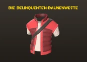 Deliquenten-Daunenweste
