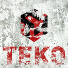 Логотип Teko.