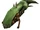 Lance-spores