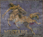 «Mustang».