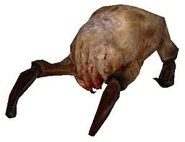 L'Headcrab Standard in Half-Life 2