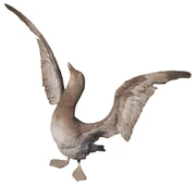 Статуэтка большого баклана.