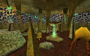 Dei Funghi di Xen in una grotta