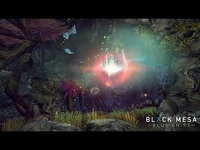 Звуковой ландшафт Зена в главе «Точка фокусировки».