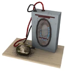 Картофелина Катарины.