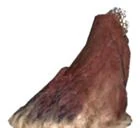 Antlion hill beta1.jpg (3 КБ) Ранняя модель кургана, используемая в финальной версии игры, как превью изображение модели.