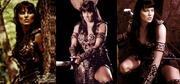 PINUPXENA all