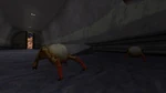 Dos Headcrabs en un tunel de Opposing Force