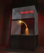 Especímen 0124.jpg (43 kB)