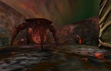 Gonarch y sus crías en Xen.