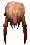 Modelo del Headcrab del Zombi Asesino