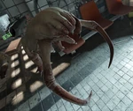 Cadaver de un Headcrab