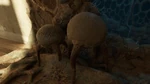 Dos hongos en Half-Life Alyx