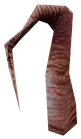 Xentree infobox