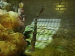 Un bebé tentáculo en Half-Life Alyx