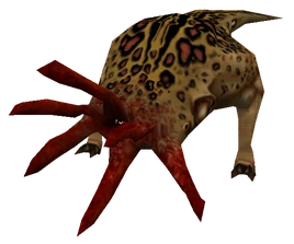 Bullsquid infobox