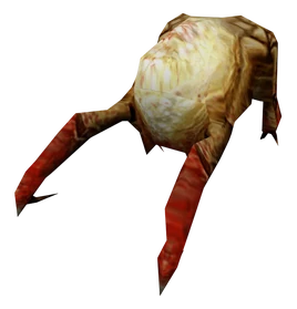 Half-Life