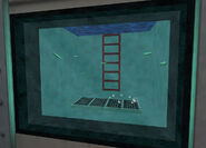 Leeches Pecera Escaleara Biodome Complex.jpg (71 kB)