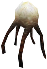 Xenfungus infobox