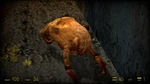 Un Headcrab muerto de cerca en Half-Life 2