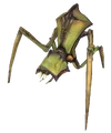 Antlion infobox