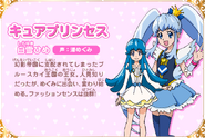 23rd Shirayuki Hime / Cure Princess