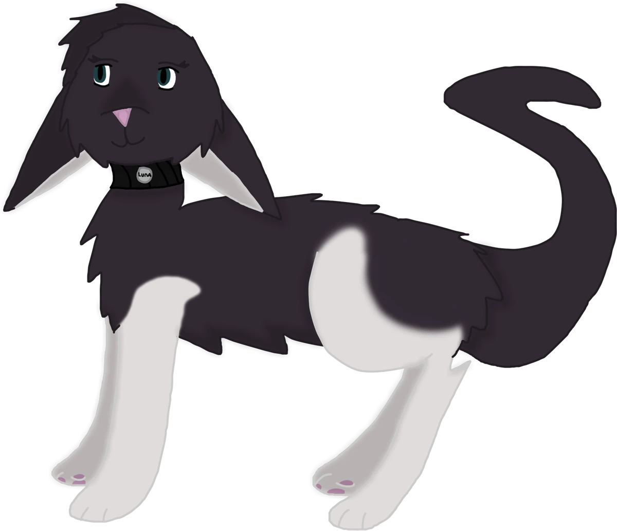 Luna HollowClan Wiki Fandom luna-hollowclan-wiki-fandom
