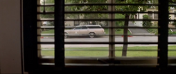 Michael watches Laurie