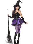 Wicked Witch Costume