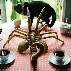 Dessert2.png