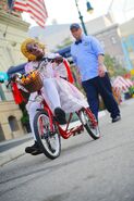 Image from motleykingdom.com
