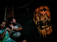 Image from Universal Orlando Resort