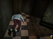 From Westcoaster.com