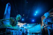 Image from Orlando Informer