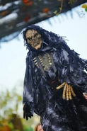 Image from motleykingdom.com