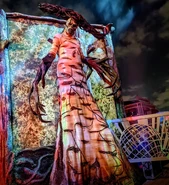 Image from spookyrra on Instagram.