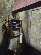 20210929 093636.jpg (3.59 MB)