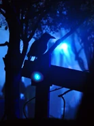 Image from HHNYearbook