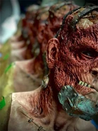 C500851F-DDE0-418F-BA7E-F1868E612B39.jpeg (123 KB) Image from John Murdy