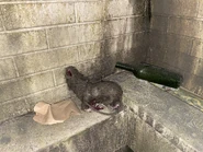 Image from HorrorUnearthed